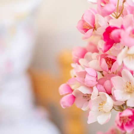 Guesthouse Rose Sarajevo Luaran gambar