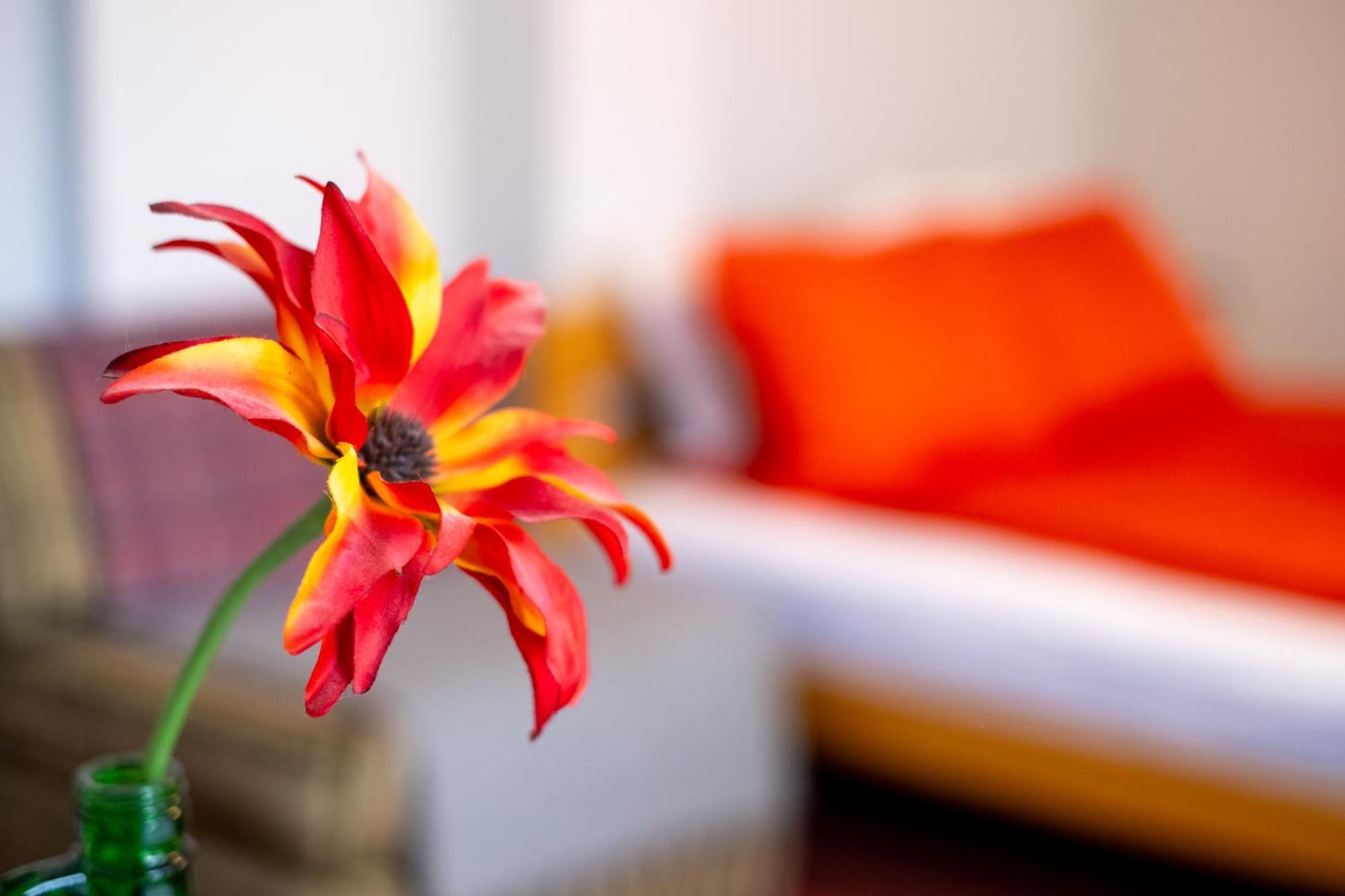 Guesthouse Rose Sarajevo Luaran gambar
